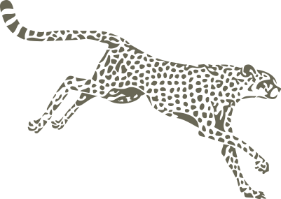 AFT Gepard