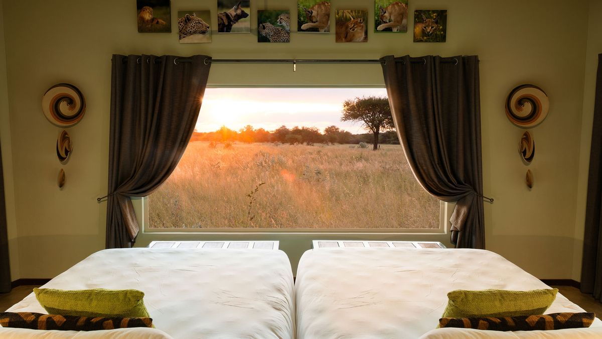Okonjima Plains view room