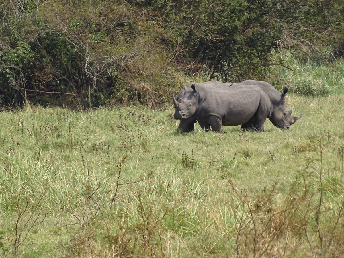 Akagera Nationalpark