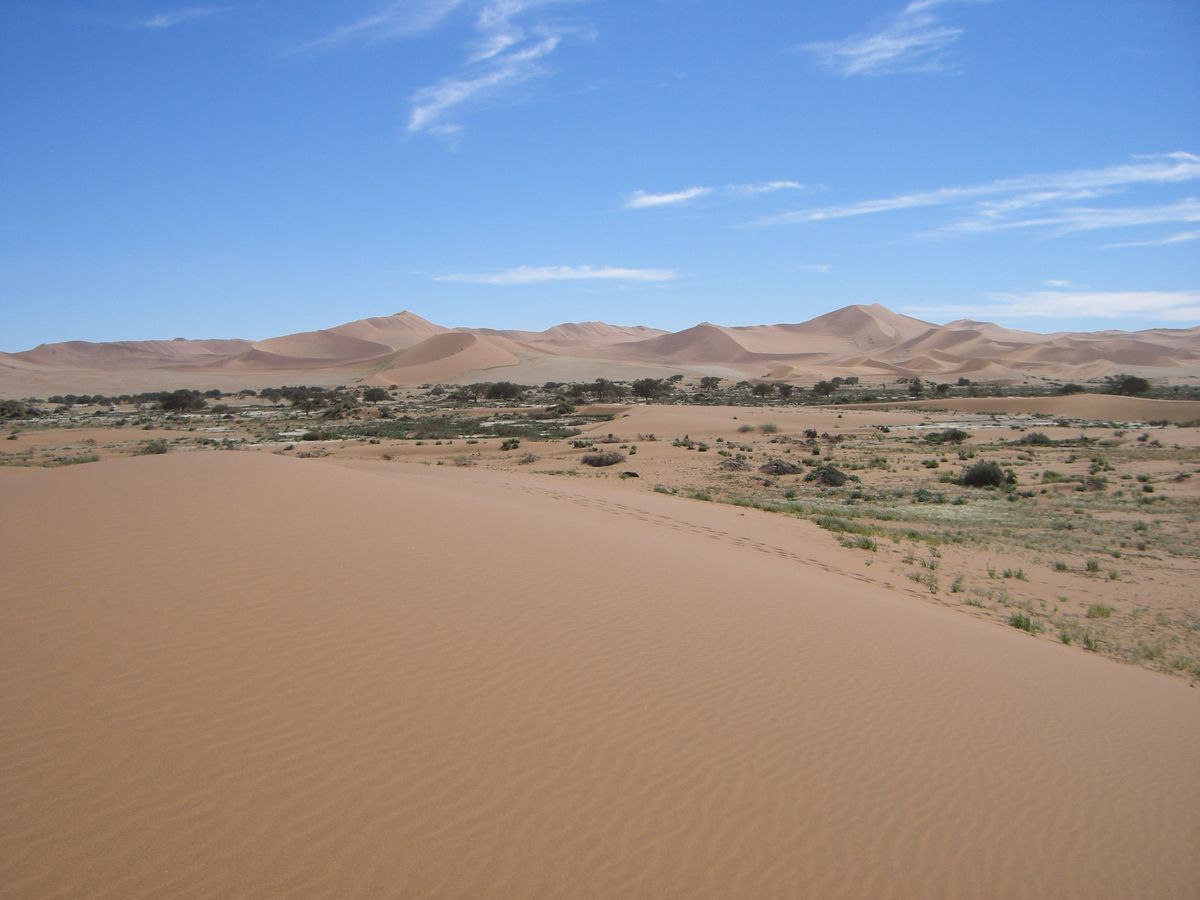 Reisen Sie mit der ganzen Familie nach Afrika