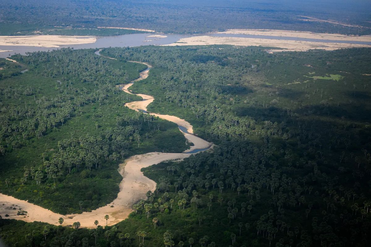 Rufiji landscape