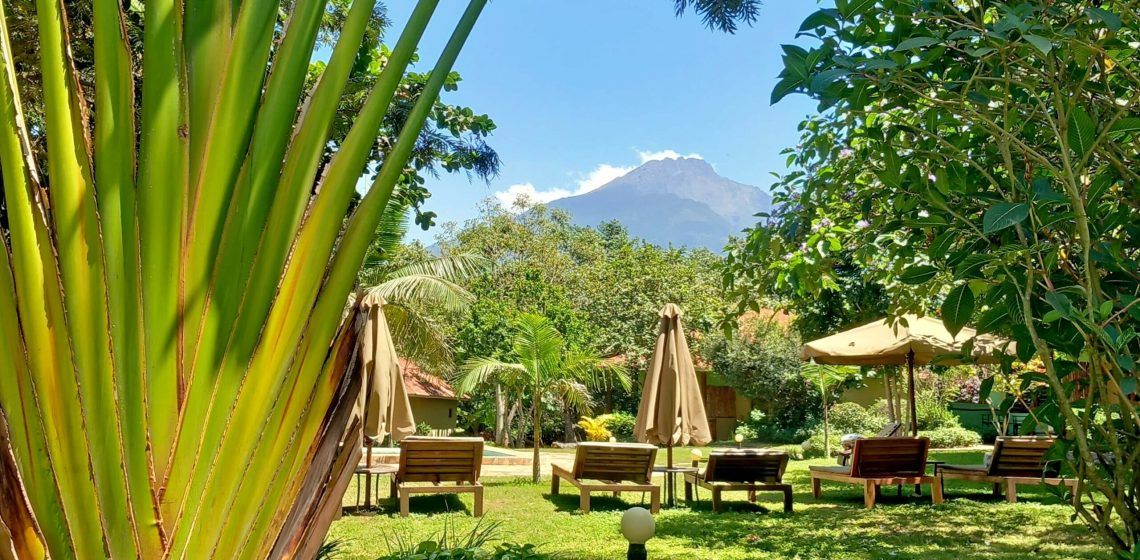 African View Lodge garden view