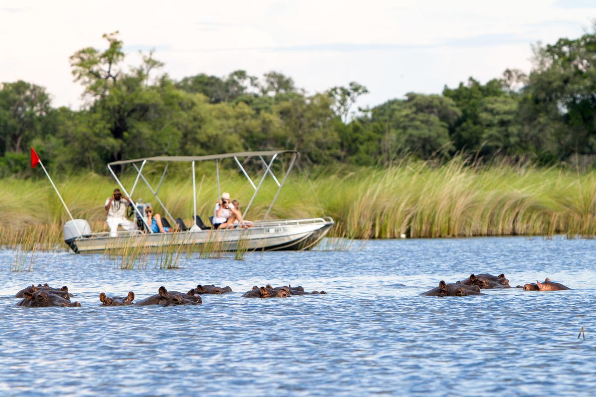 Camp Moremi boat