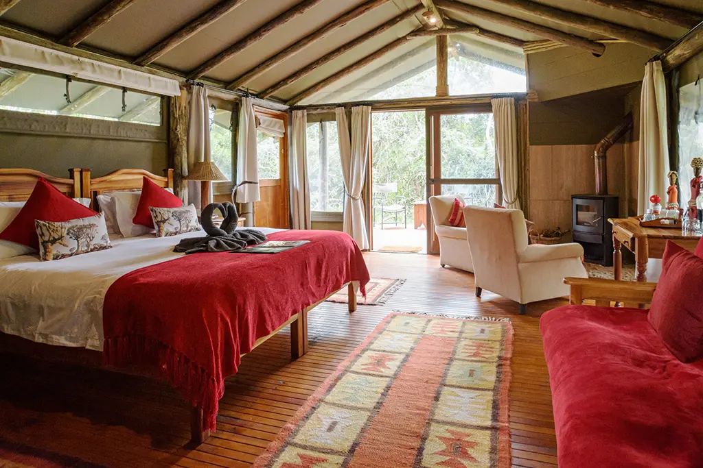 Sibuya Forest Camp room