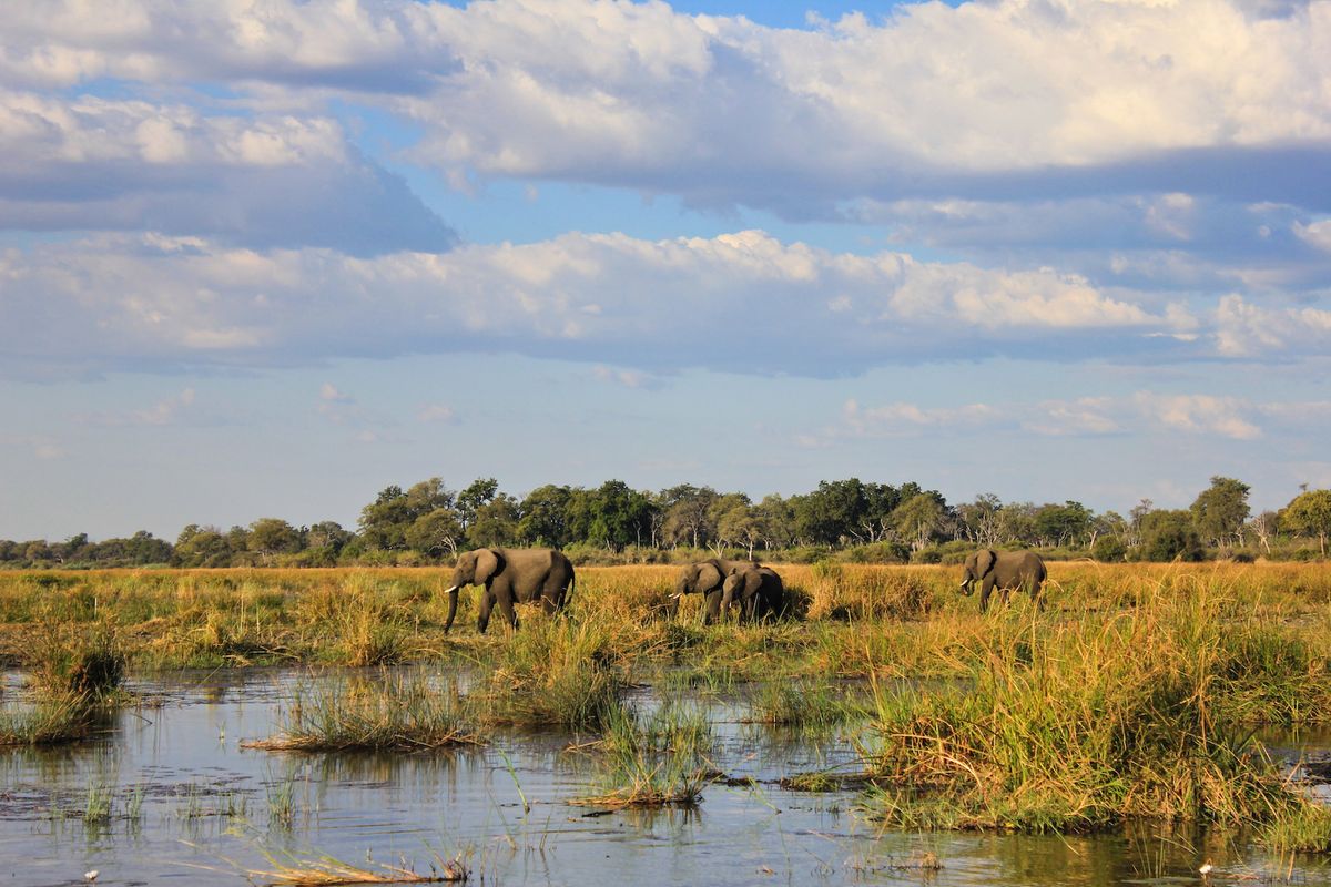 Nkasa Rupara Nationalpark