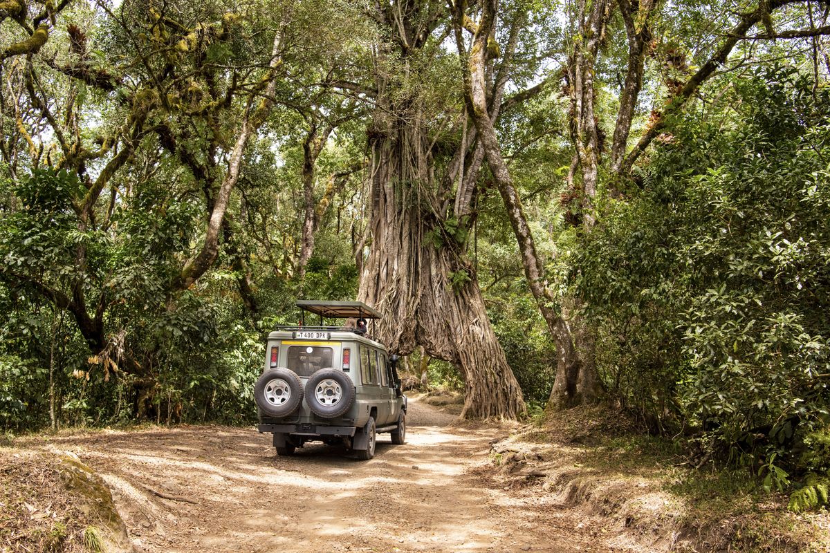Arusha Park einfahrt