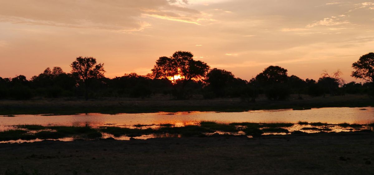 Flitterwochen in Afrika