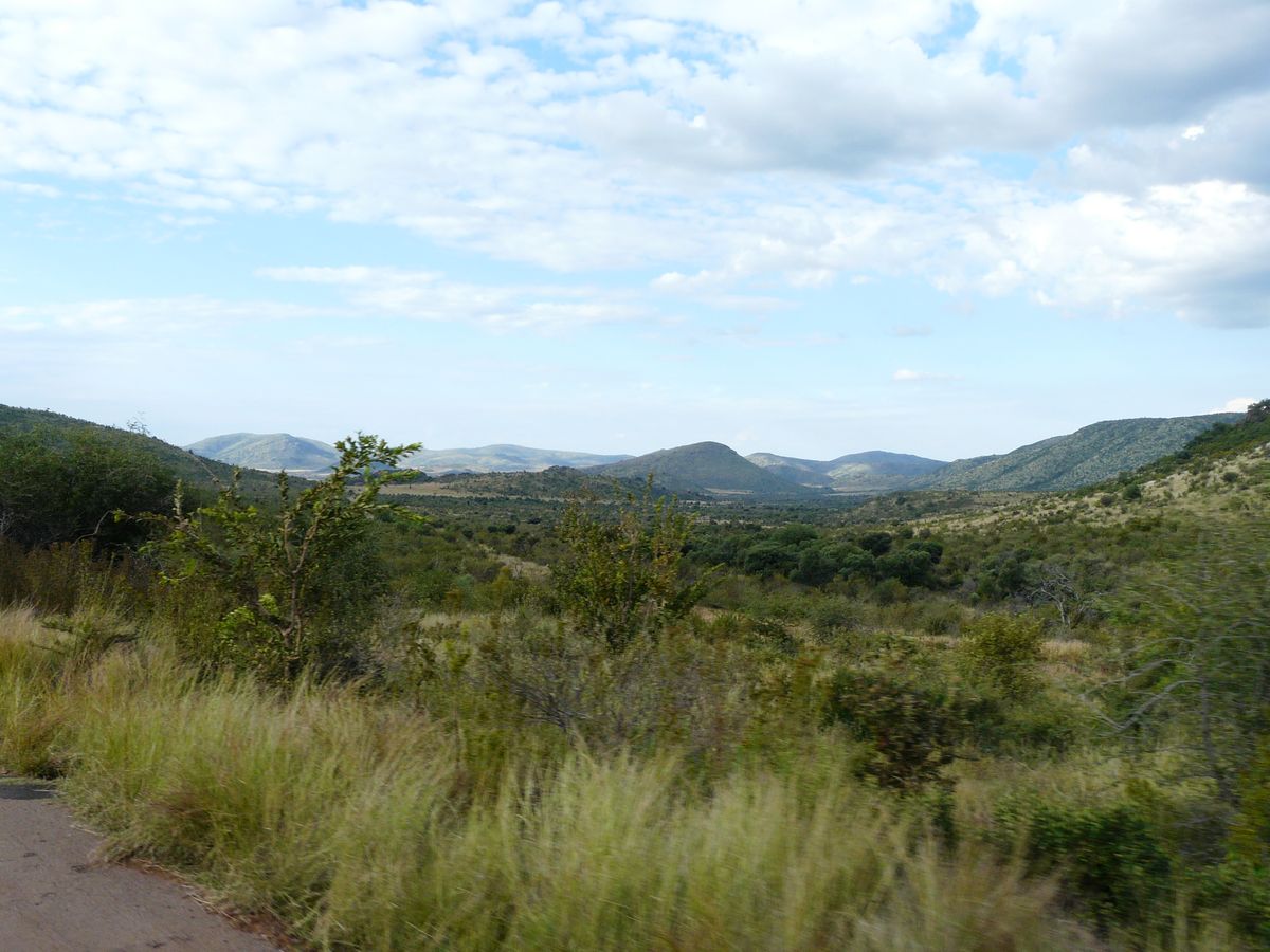 Pilanesberg landscape
