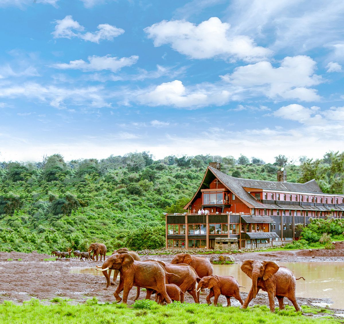 The Ark Lodge