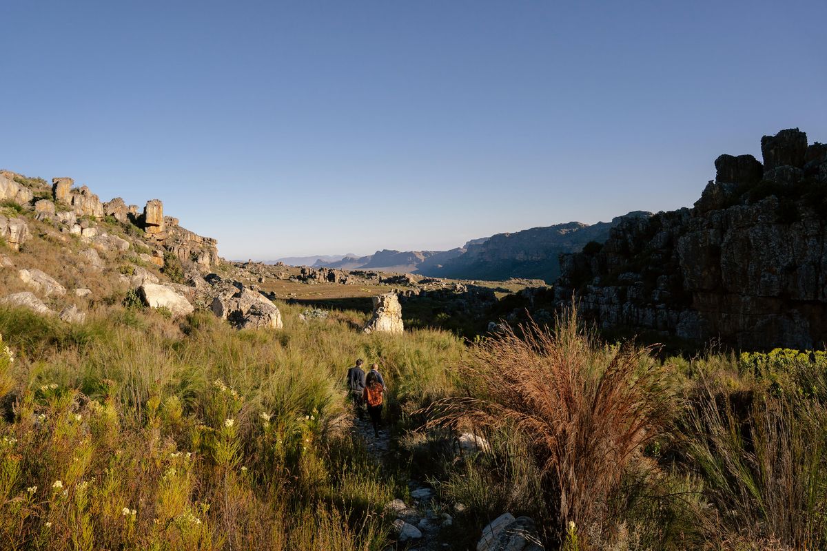 Simbavati Cederberg Ridge hiking