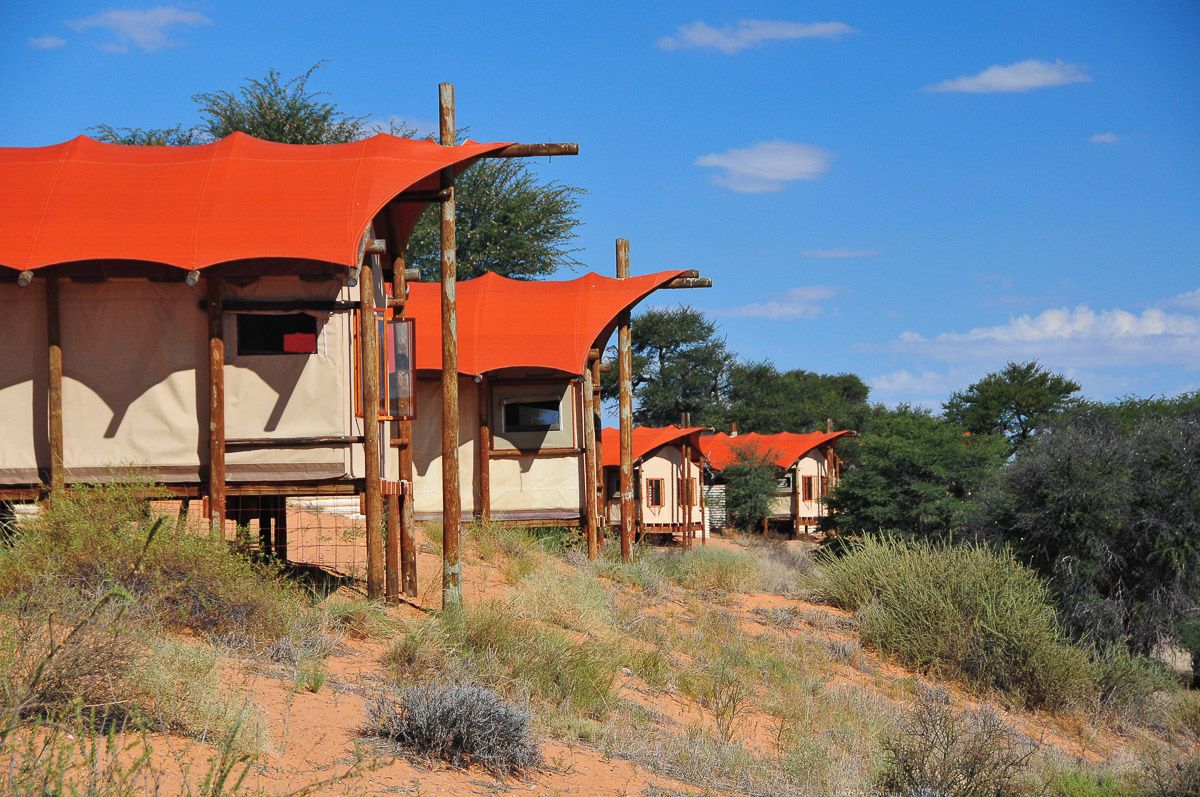 Kalahari Tented Camp
