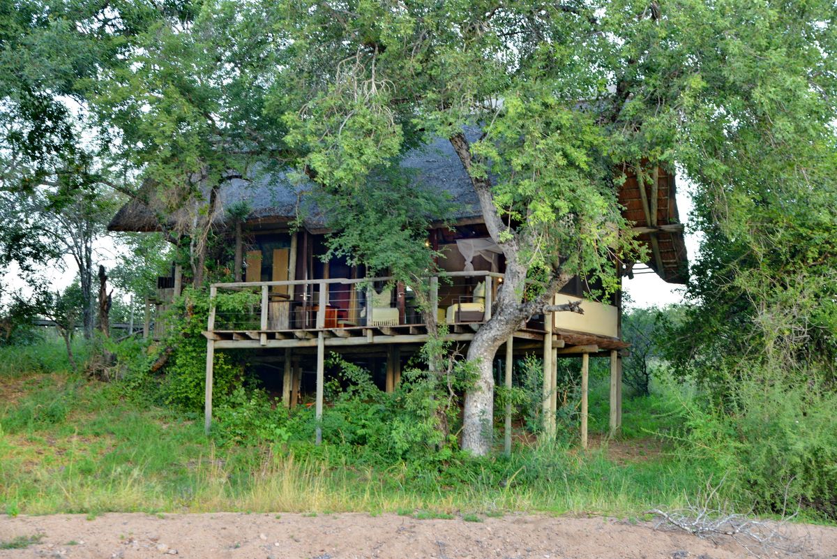 Rhino Post suite tree