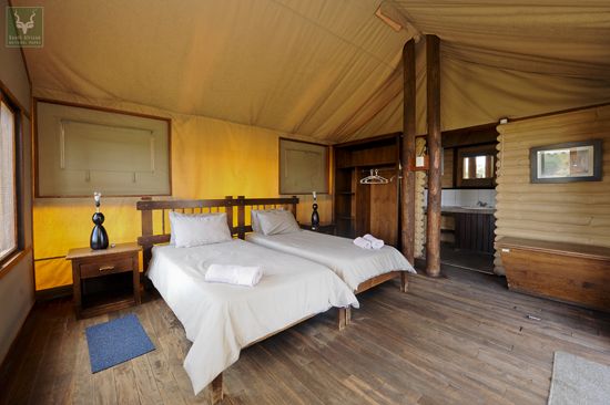 Kalahari Tented Camp room