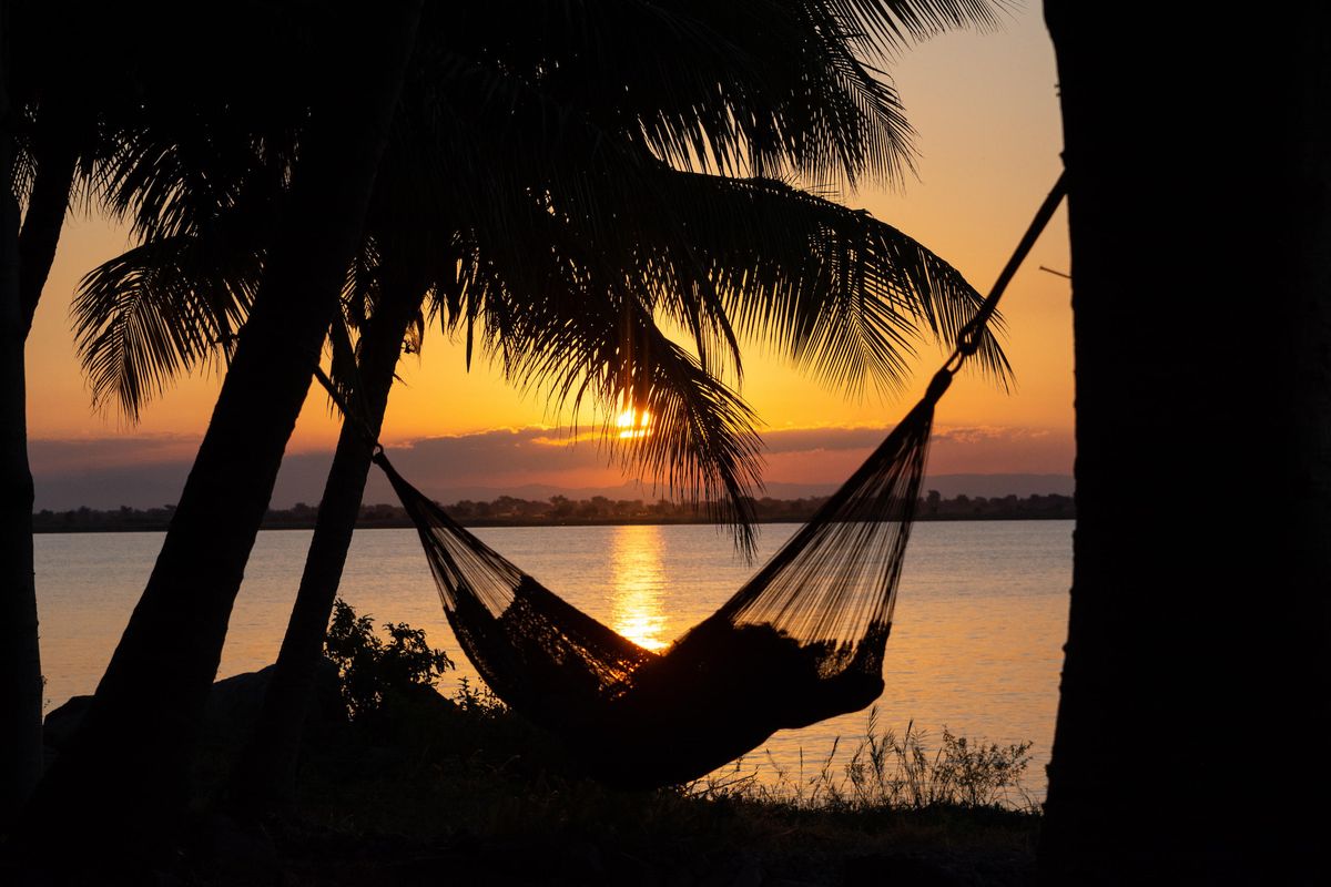 Blue Zebra Island Lodge hammock