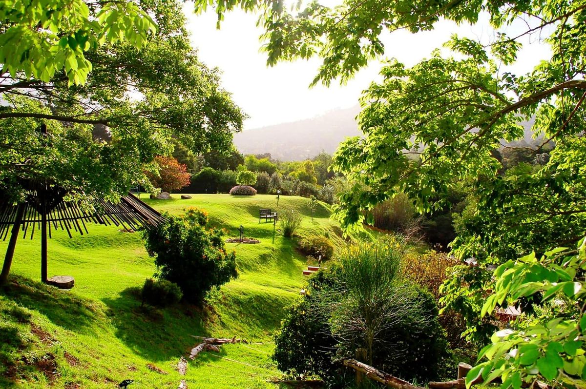 Thulani River Lodge garden