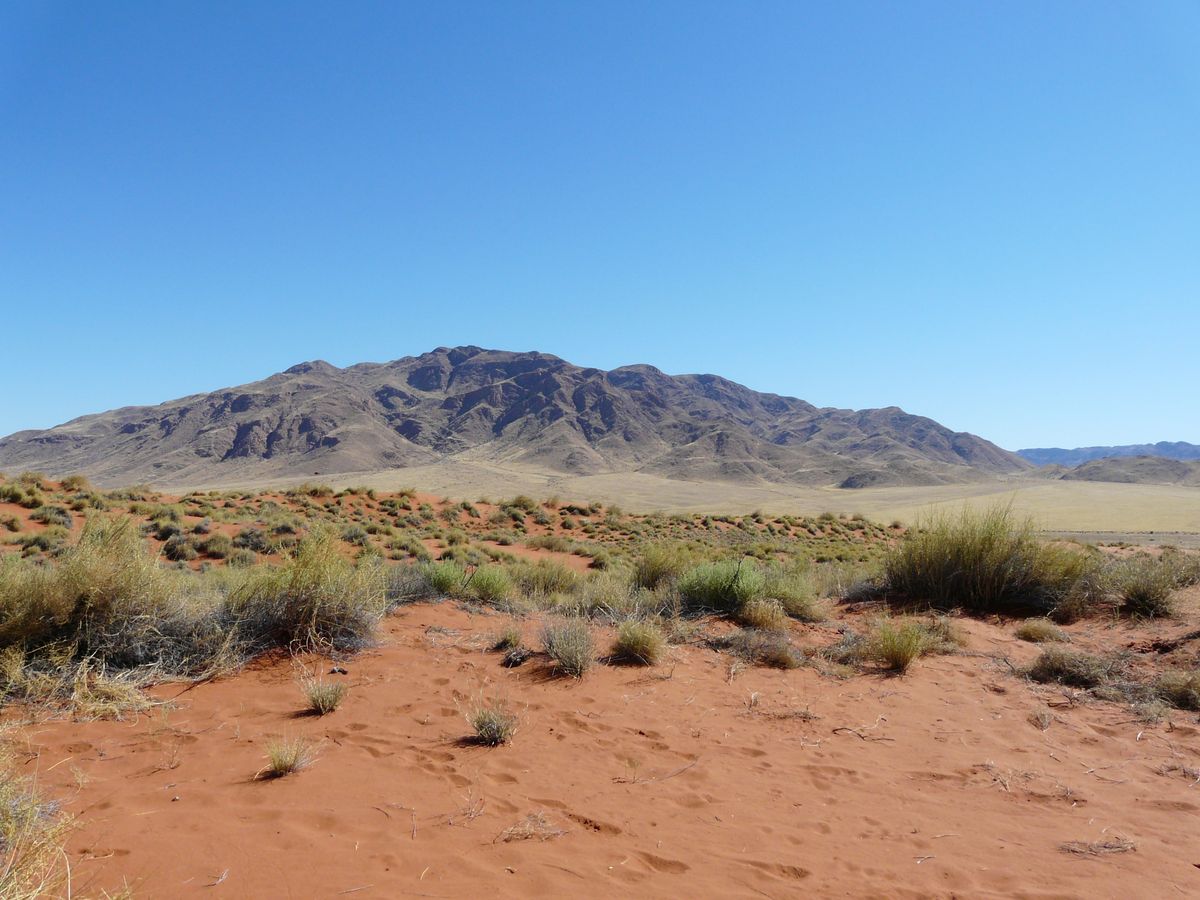 Namib Rand landscape 1