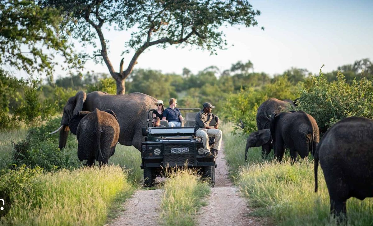 Fotosafari mit Jeep