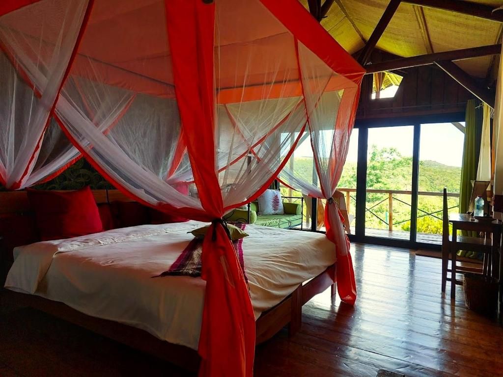Nature Lodge room