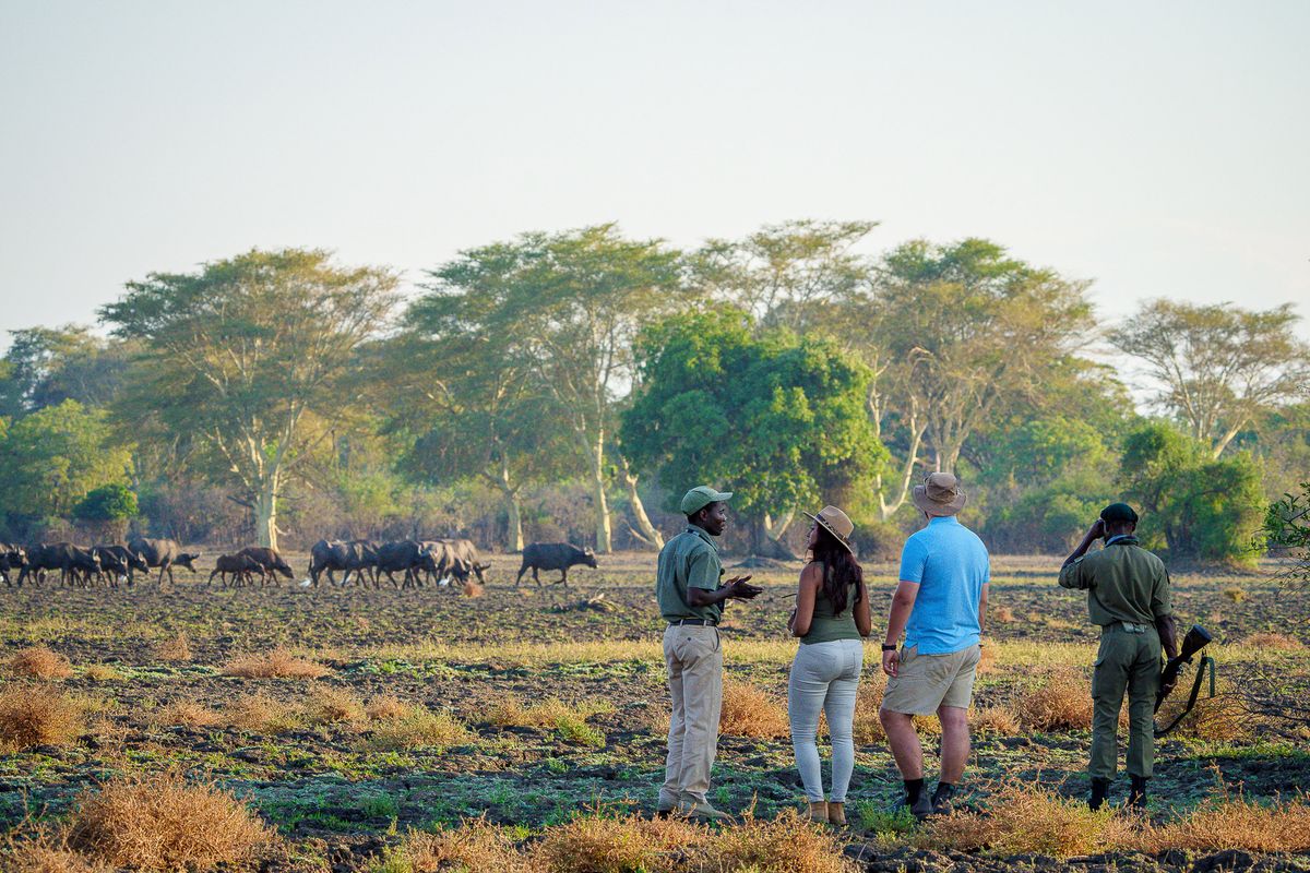 Kuthengo bush walks
