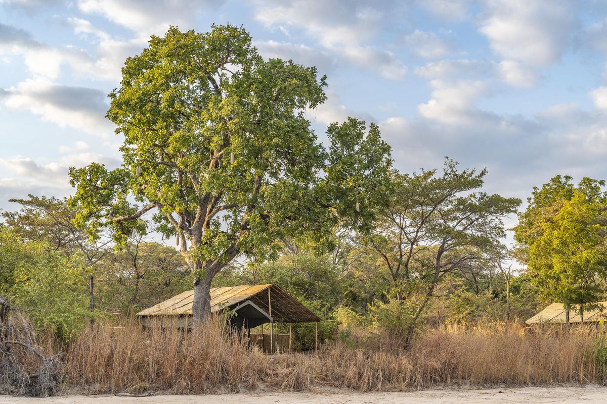 Nkonzi Bush Camp