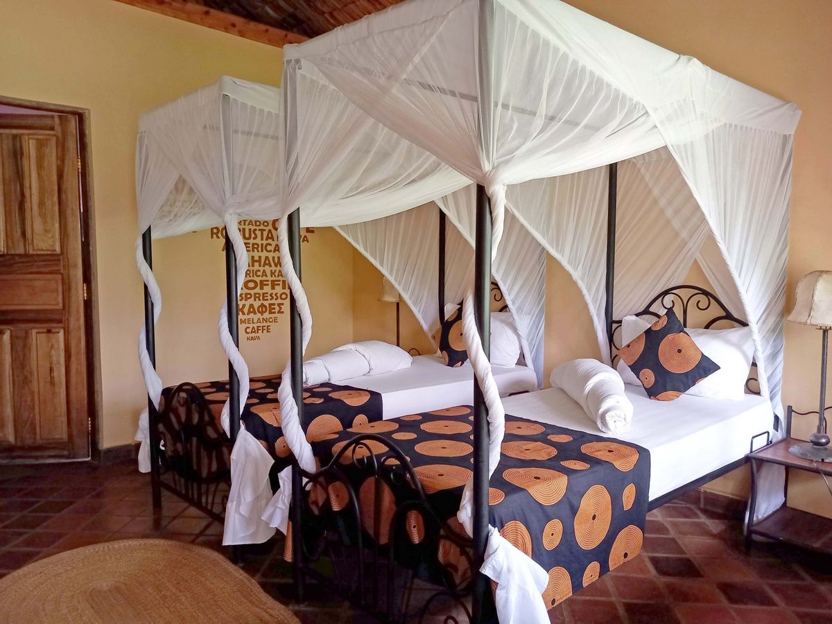 African View Lodge twin