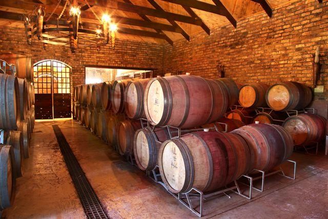 Hermanus Wine Tasting