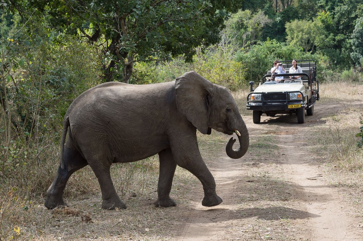 Mkulumadzi Lodge game drive