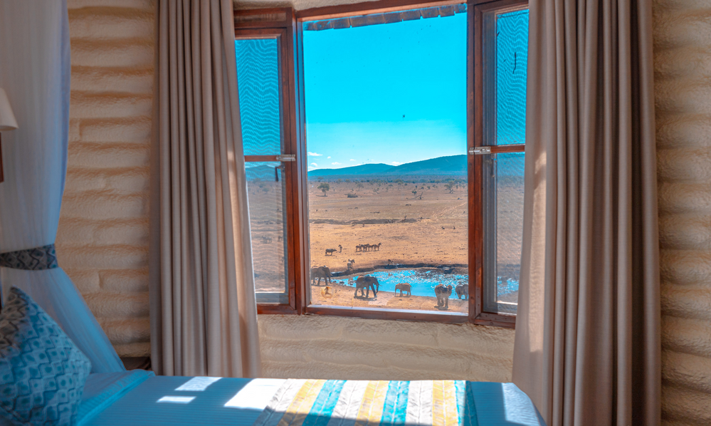 Salt Lick Safari Lodge waterhole view room
