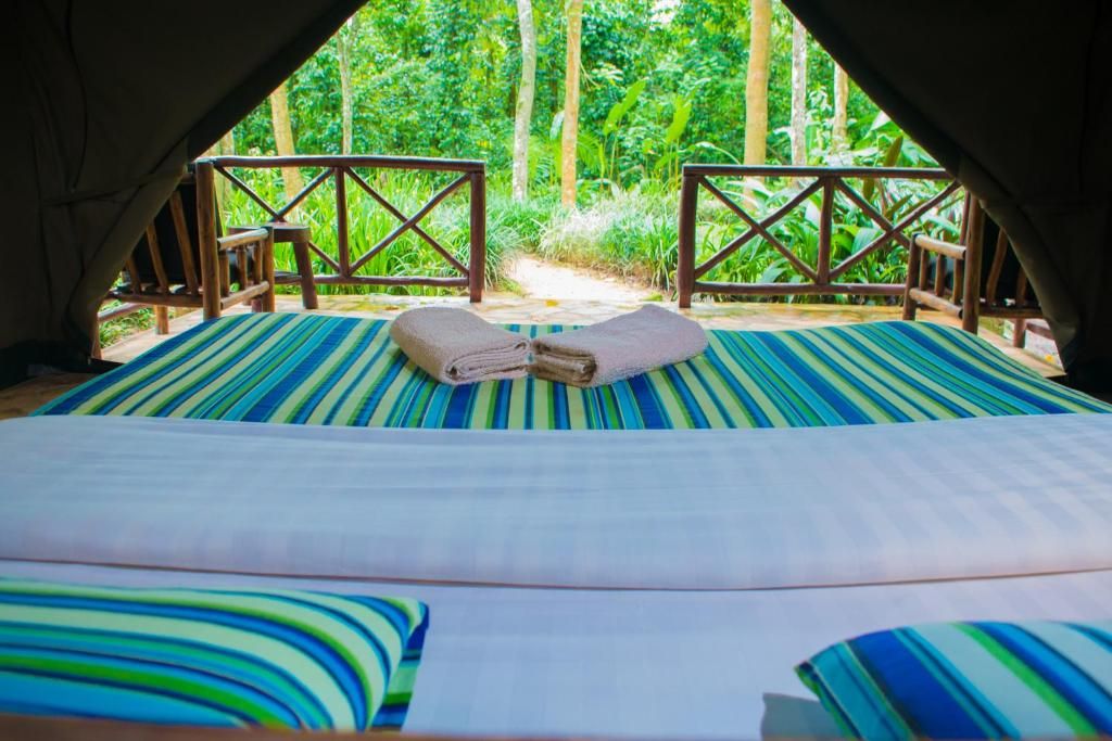 Kibale Forest Camp tent view