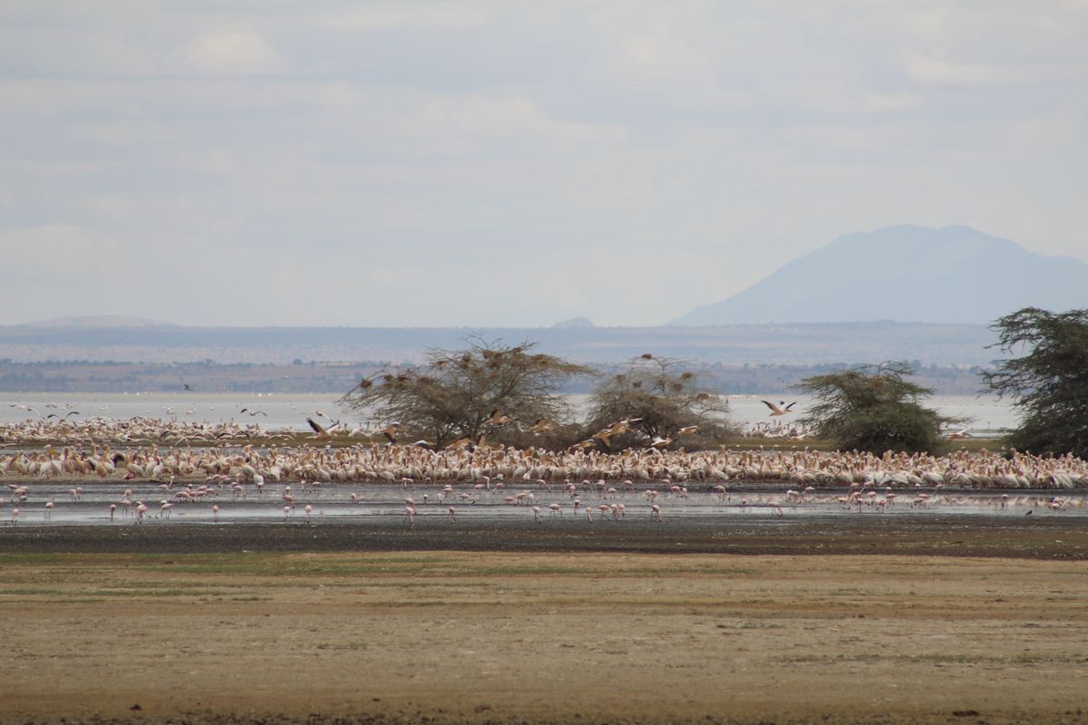 Lake Manyara