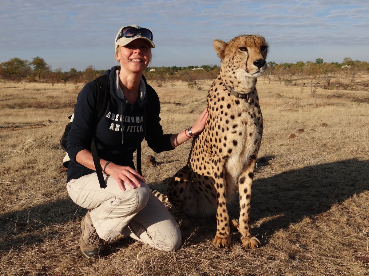 Michaela mit Cheetah bei Victoria Falls (Elephant Camp)