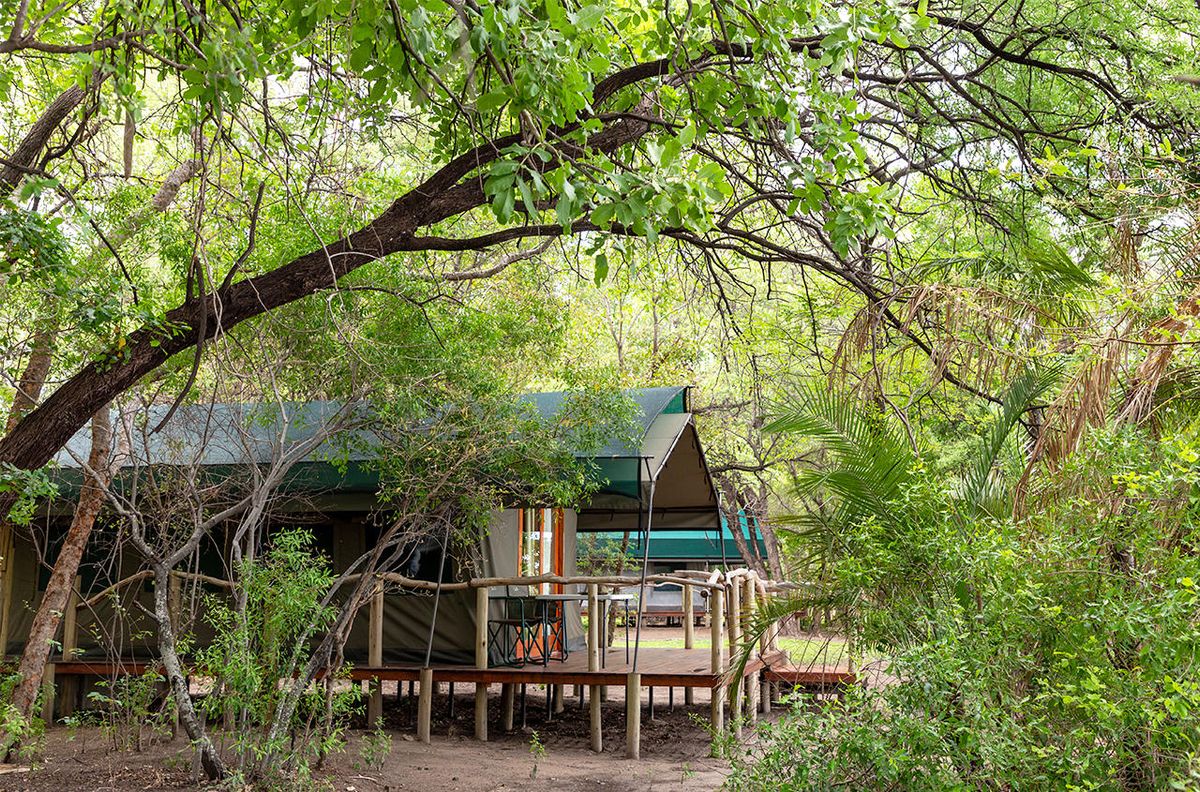 Ndhovu Safari Lodge chalet
