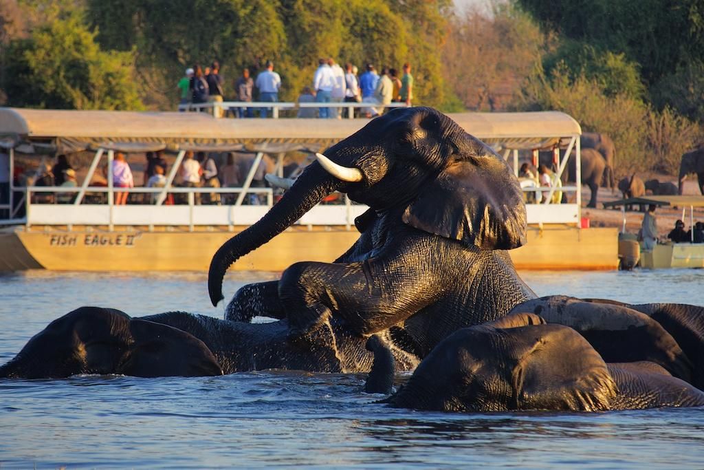 Chobe Safari Lodge boat