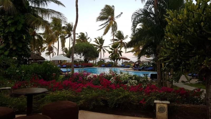 Poolanlage mit Palmen und Bougainvillea auf Zanzibar