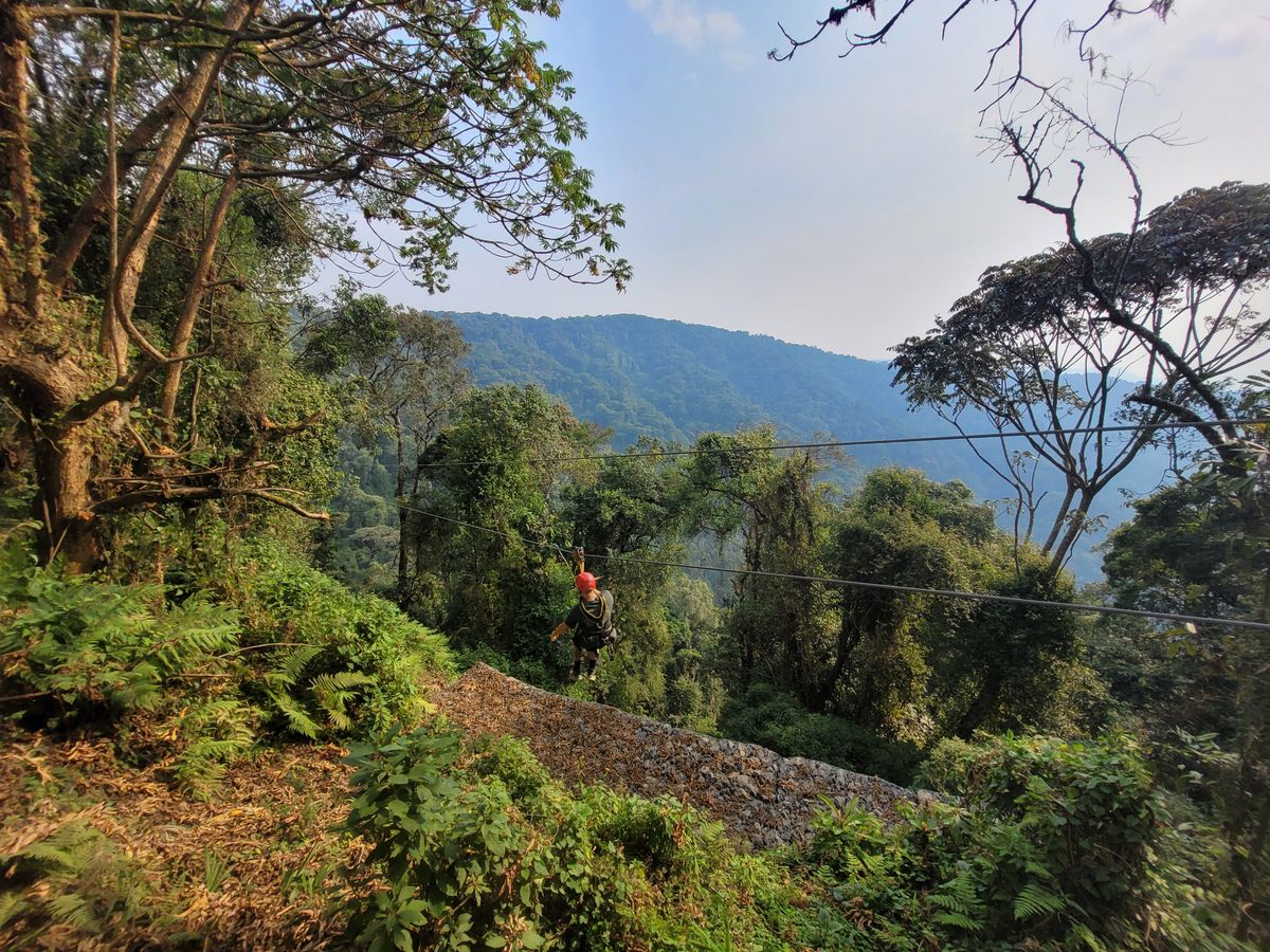 Nyungwe zipline
