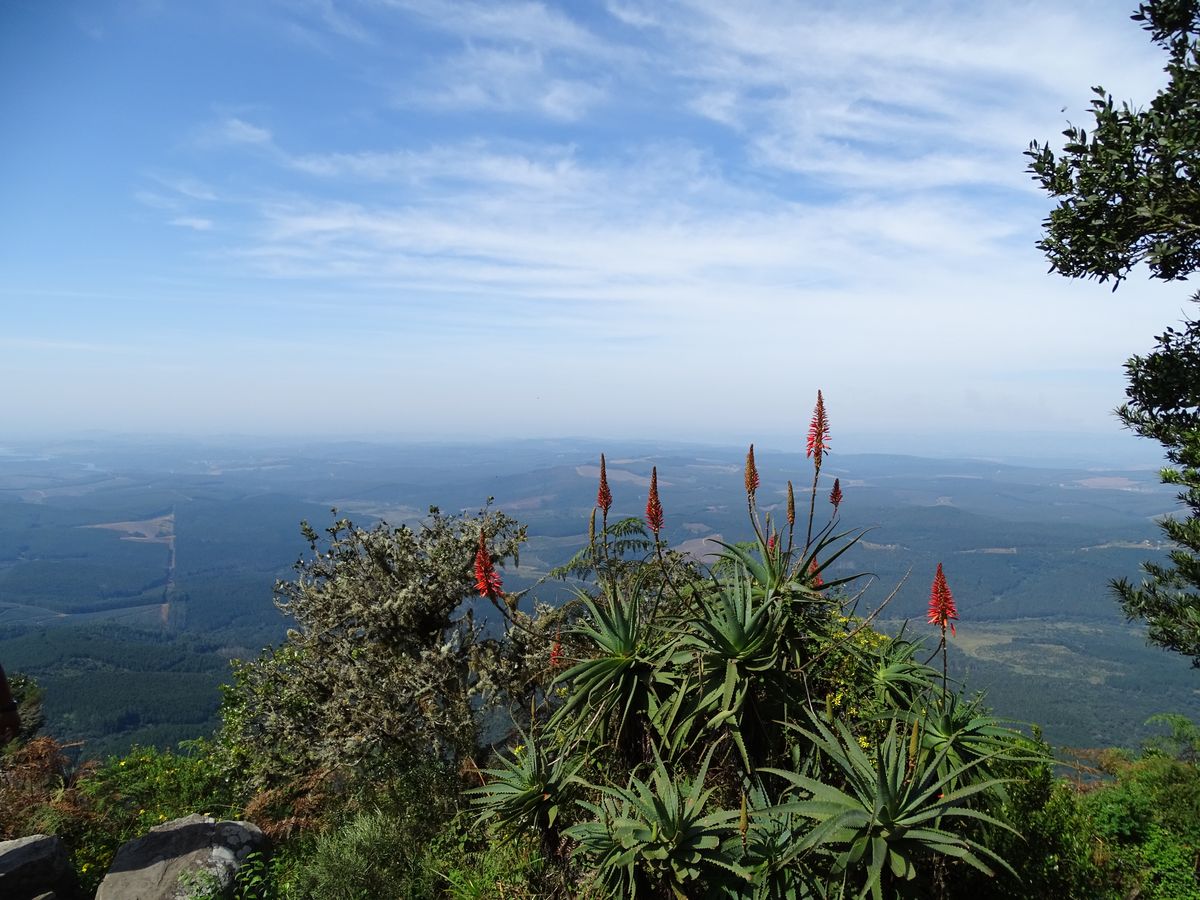 Panorama Route view point