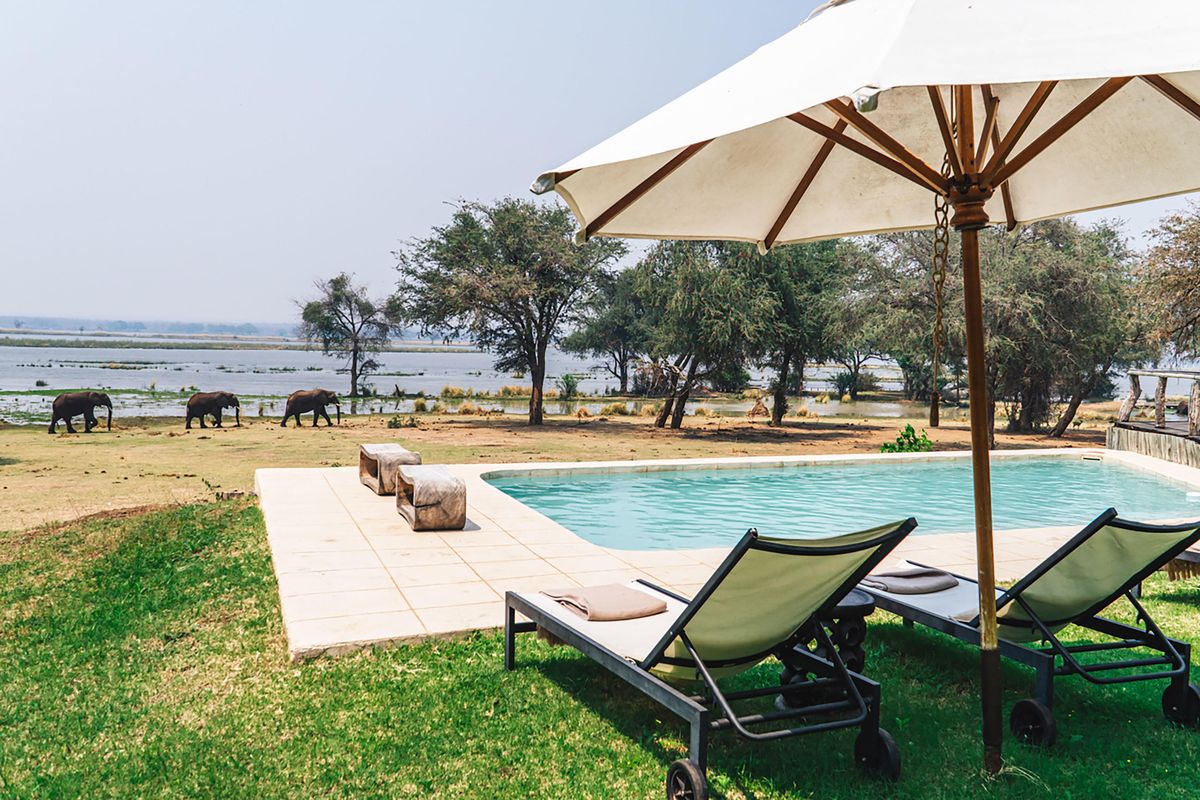 Dulini Anabezi pool and elephants