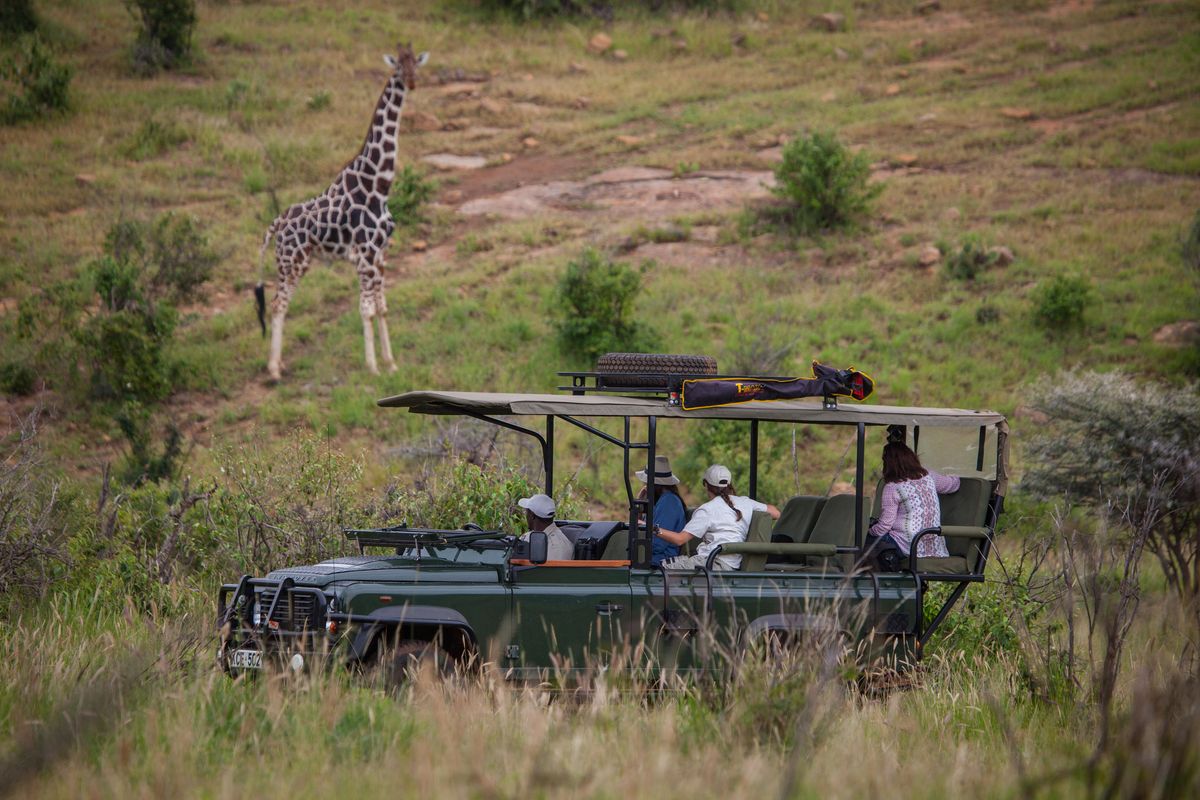 Elewana Loisaba game drive