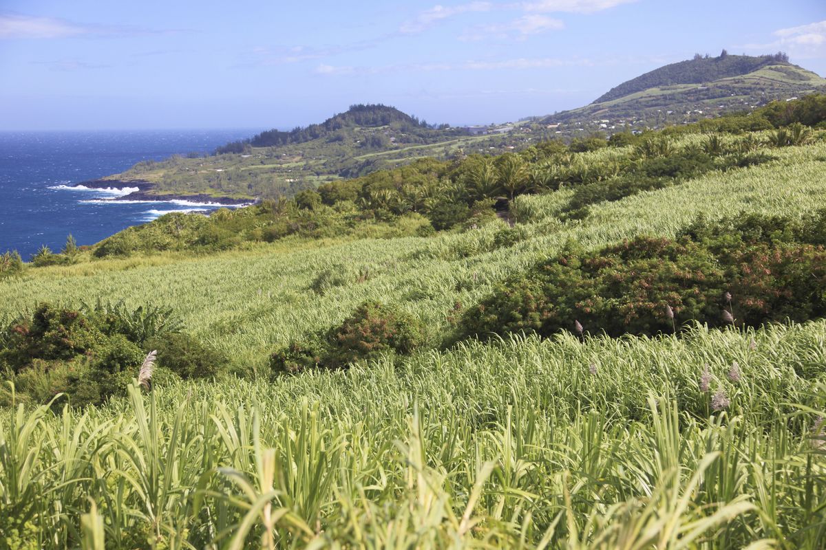 Reunion landscape south east