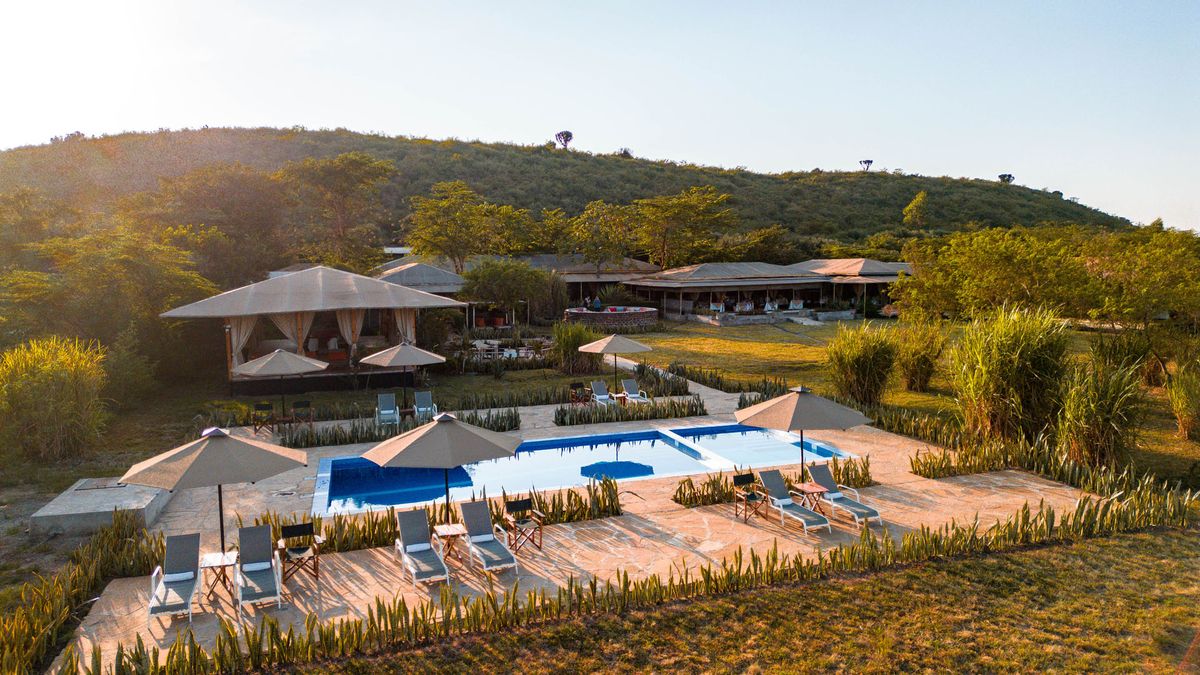 Zebra Plains pool area