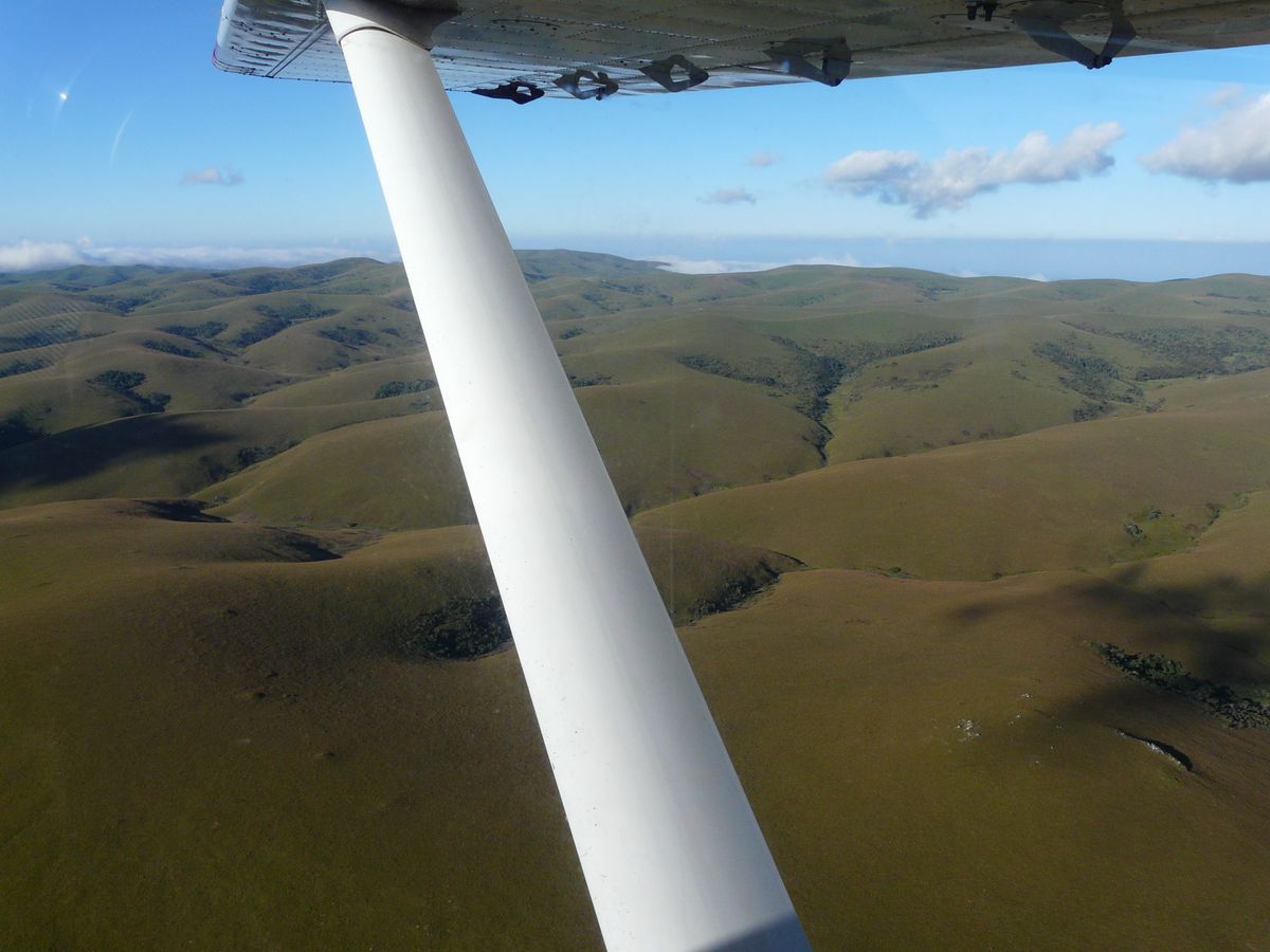 Nyika im Anflug