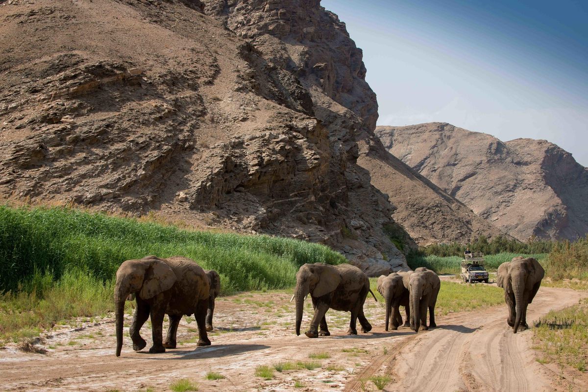 Hoanib Valley Camp game drive elis