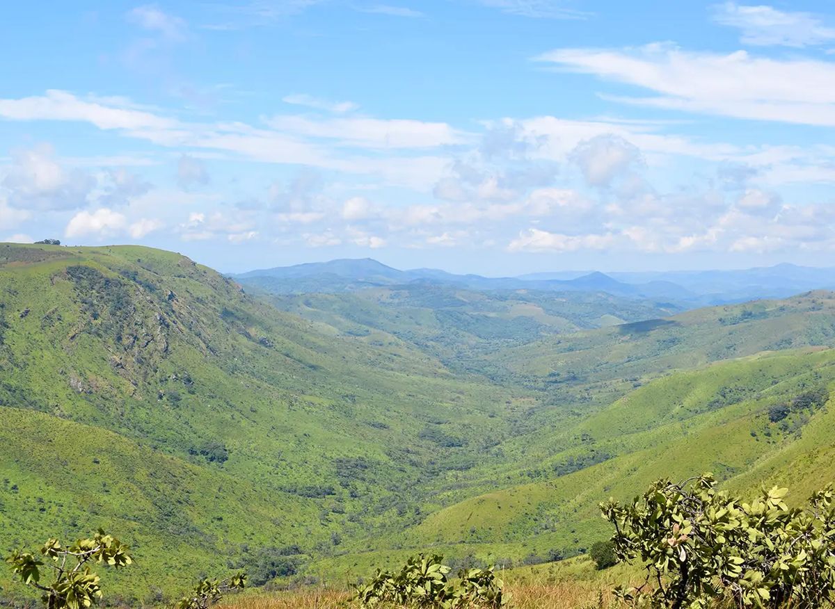 Viphya Plateau