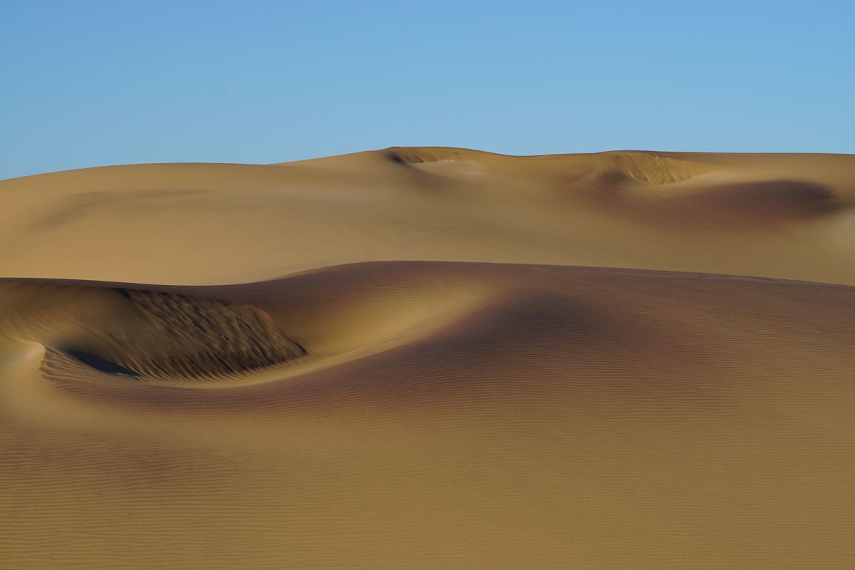 Living Desert Namib Dunes