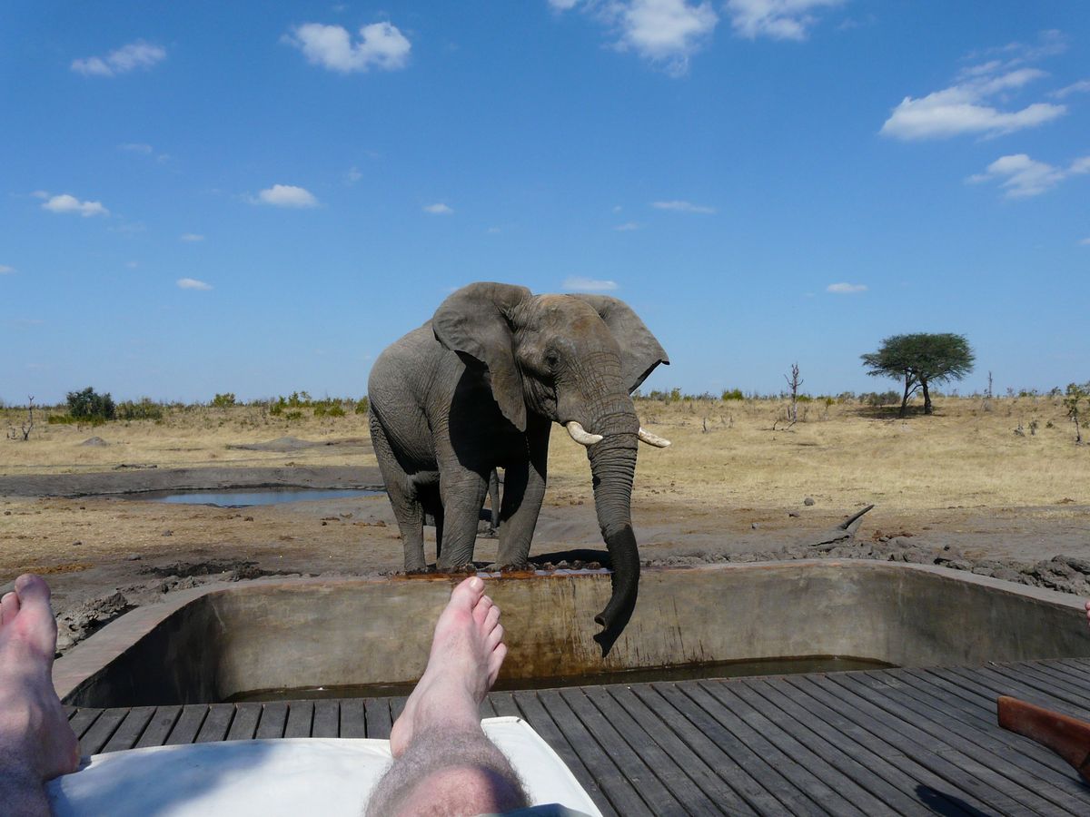 Hwange eli am pool
