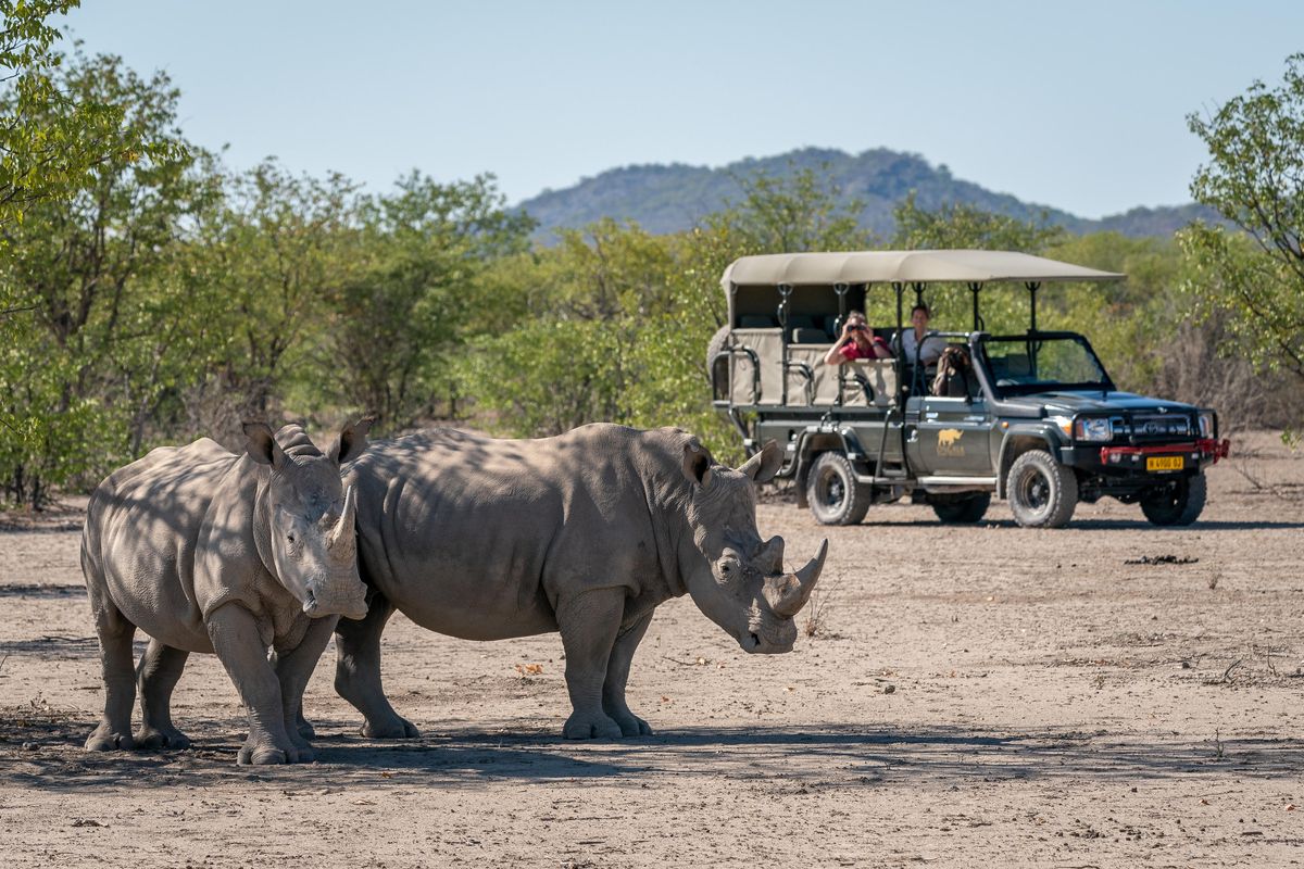 Ongava Lodge game drive