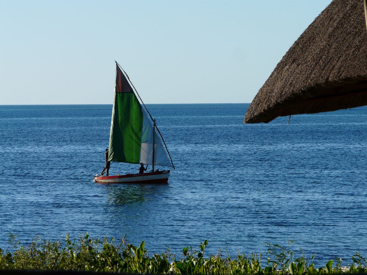 Vilanculos dhow