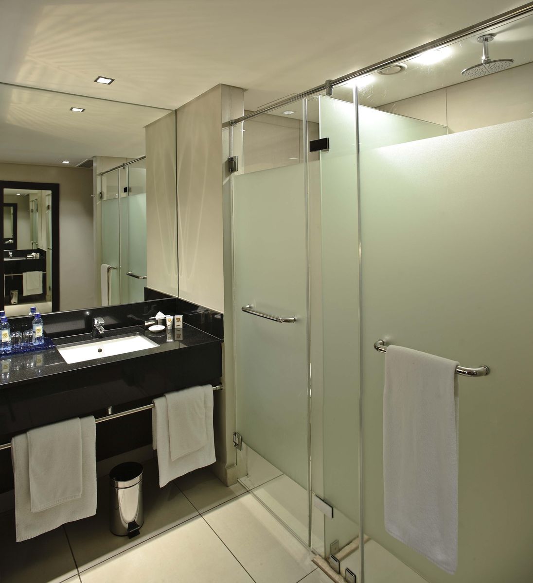 Eka Hotel shower