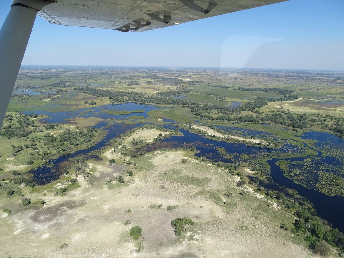 Okavango Delta from air