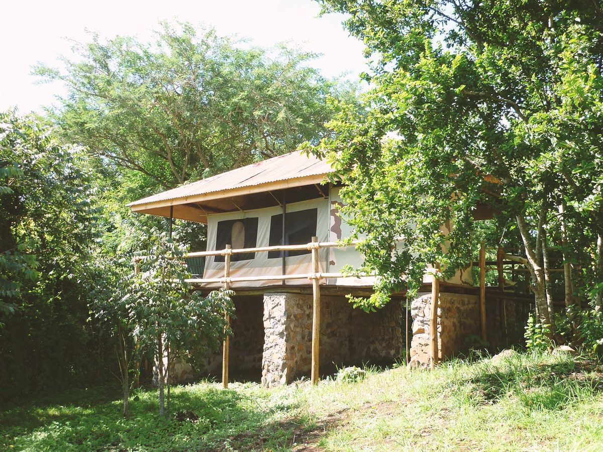 African View Lodge treetop tent